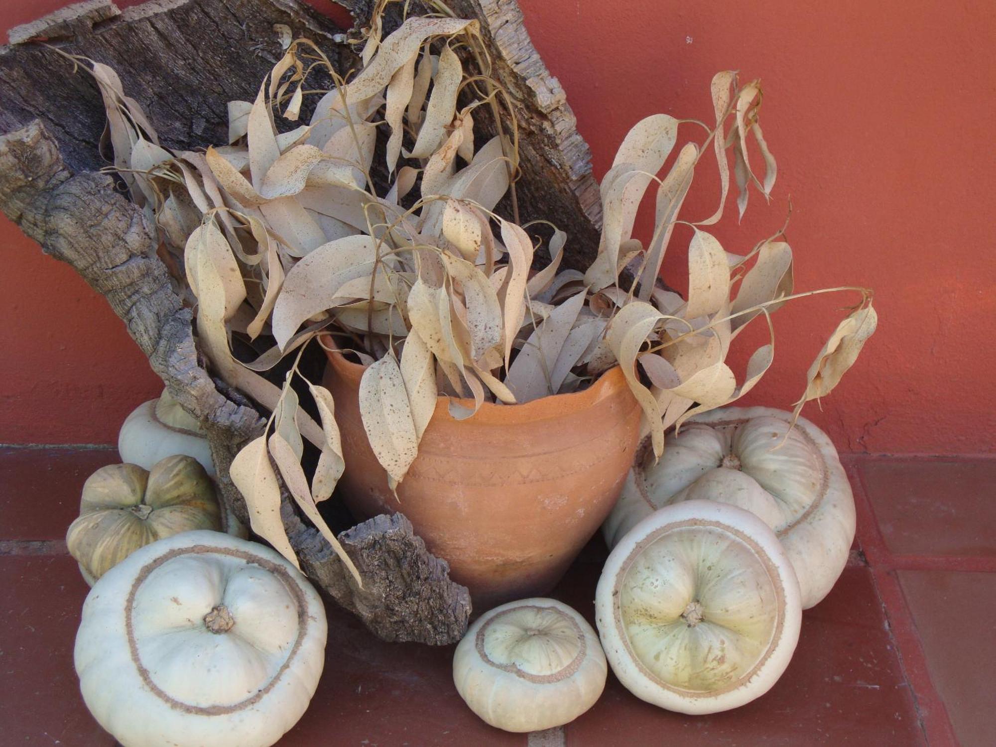 Verdemar Cercal do Alentejo المظهر الخارجي الصورة