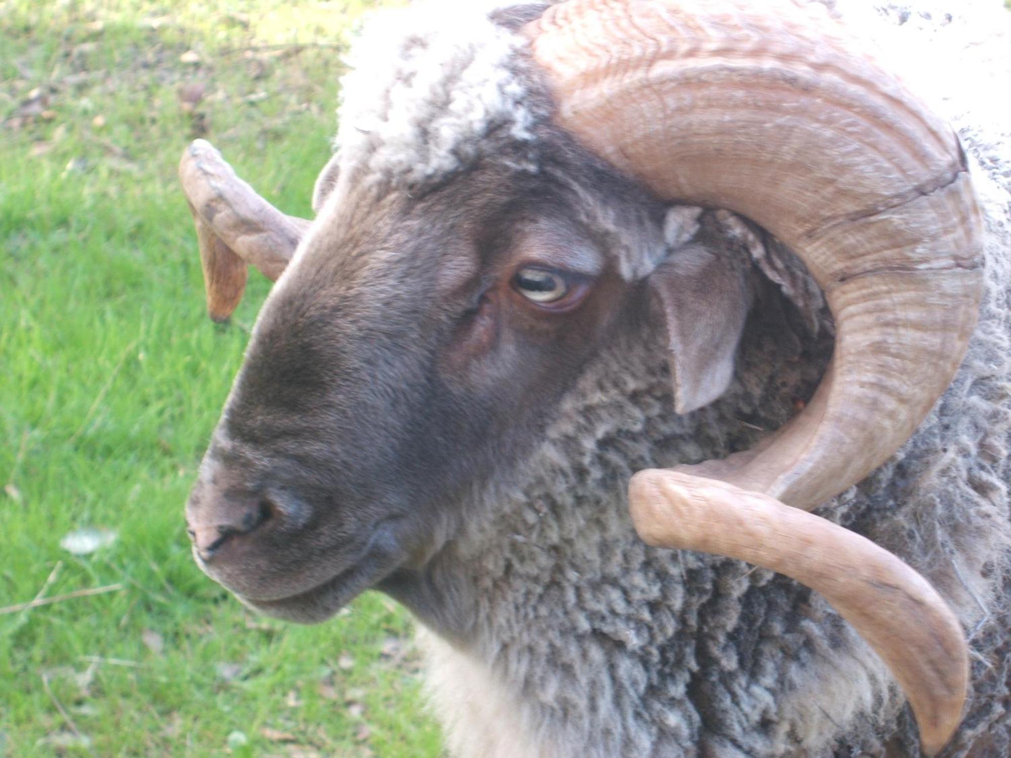 Verdemar Cercal do Alentejo المظهر الخارجي الصورة